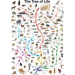 Puzzle - L'Arbre de Vie (The Tree of Life) - 1000 pièces