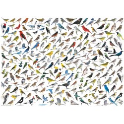 Puzzles - Le monde des oiseaux - 1000 pièces