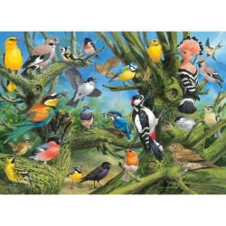 Puzzle - Les oiseaux du jardin - 1000 pièces
