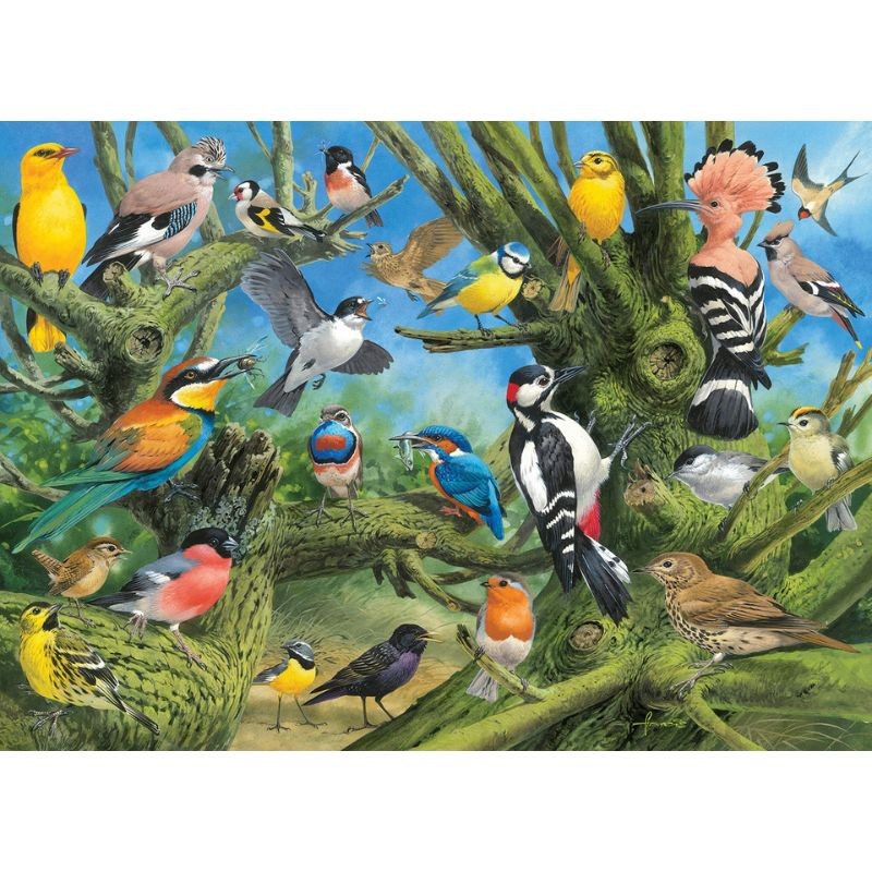 Puzzle - Les oiseaux du jardin - 1000 pièces