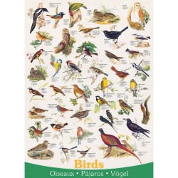 Puzzle - Oiseaux - 1000 pièces