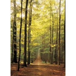 Puzzle - Sentier forestier - 1000 pièces Puzzle - Sentier forestier - 1000 pièces