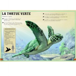 Le Livre extraordinaire des animaux en danger Le Livre extraordinaire des animaux en danger