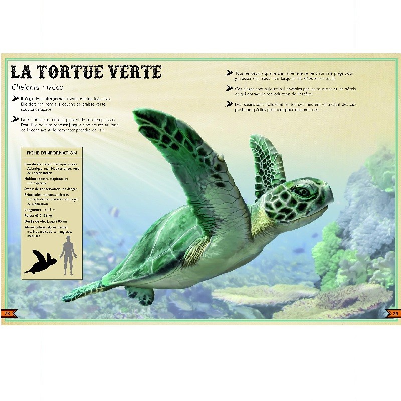 Le Livre Extraordinaire des Animaux en Danger