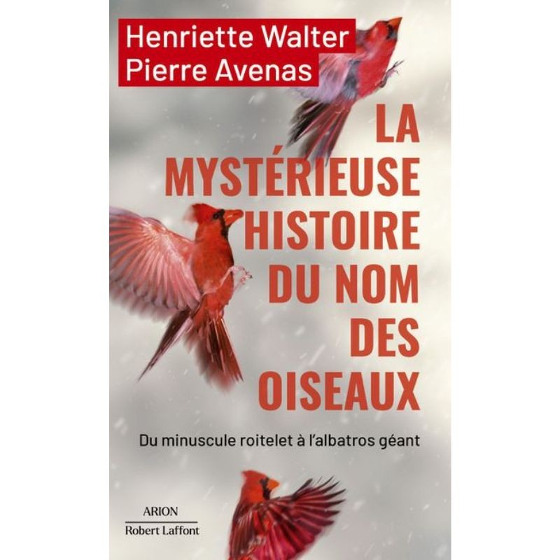 La mystérieuse histoire du nom des oiseaux - Du minuscule Roitelet à l'Albatros géant