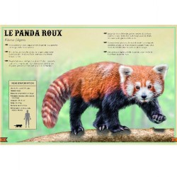 Le Livre extraordinaire des animaux en danger Le Livre extraordinaire des animaux en danger