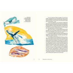 Nomen - L'origine des noms des espèces