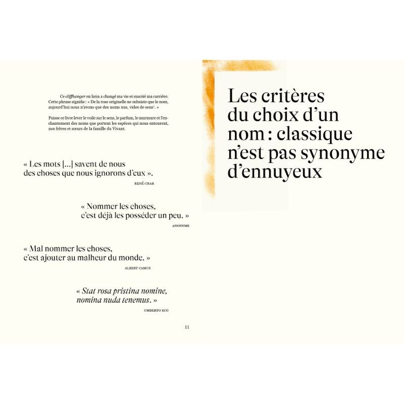 Nomen - L'origine des noms des espèces