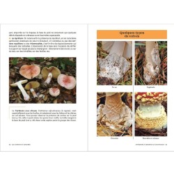 Les Carnets du Scarabée - Champignons