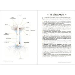 Les Carnets du Scarabée - Champignons