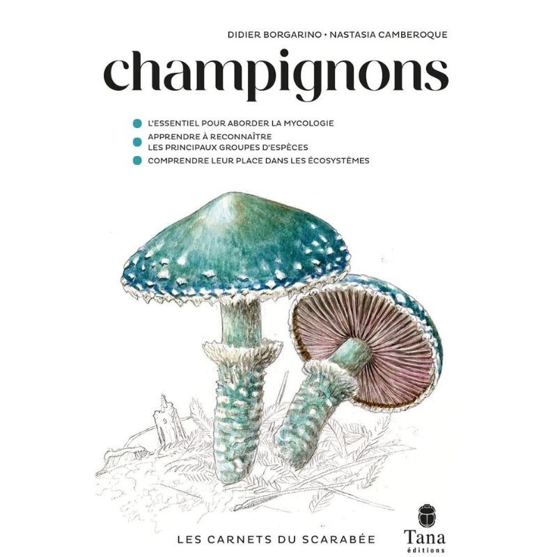 Les Carnets du Scarabée - Champignons