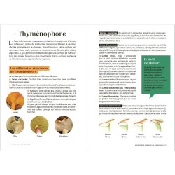 Les Carnets du Scarabée - Champignons