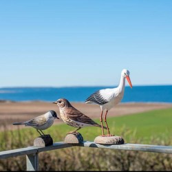 DecoBird Grive Musicienne - Statuette en bois