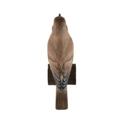 DecoBird Grive Musicienne - Statuette en bois