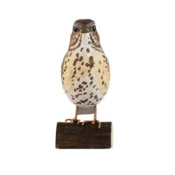 DecoBird Grive Musicienne - Statuette en bois