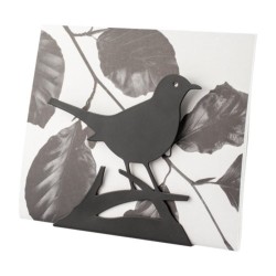 Porte-lettres Merle Noir