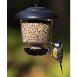 Mangeoire à graines - Little Lantern™