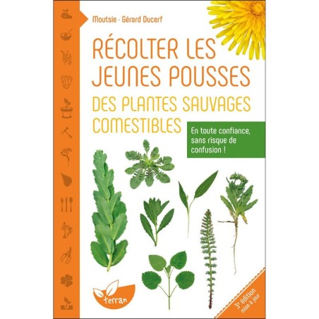 Récolter les jeunes pousses des plantes sauvages comestibles