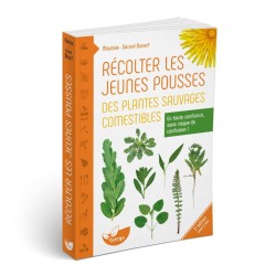 Récolter les jeunes pousses des plantes sauvages comestibles Récolter les jeunes pousses des plantes sauvages comestibles
