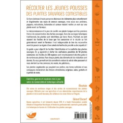 Récolter les jeunes pousses des plantes sauvages comestibles Récolter les jeunes pousses des plantes sauvages comestibles