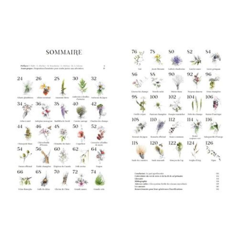 Éloge des indisciplinées - Il n’y a pas de mauvaises plantes