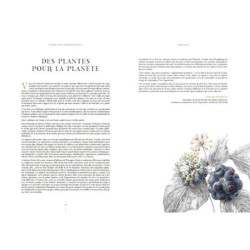 Éloge des indisciplinées - Il n’y a pas de mauvaises plantes