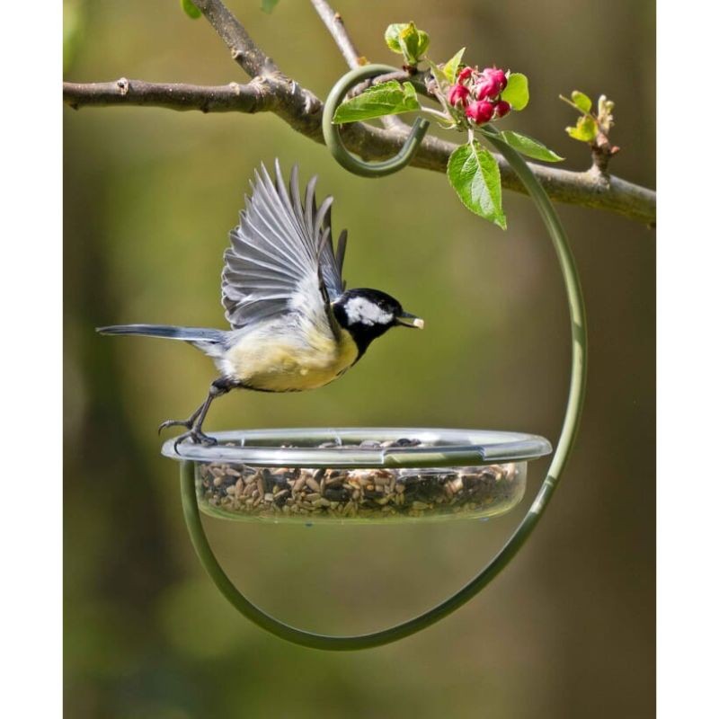 Mangeoire/Bol à suspendre I Love Robins®