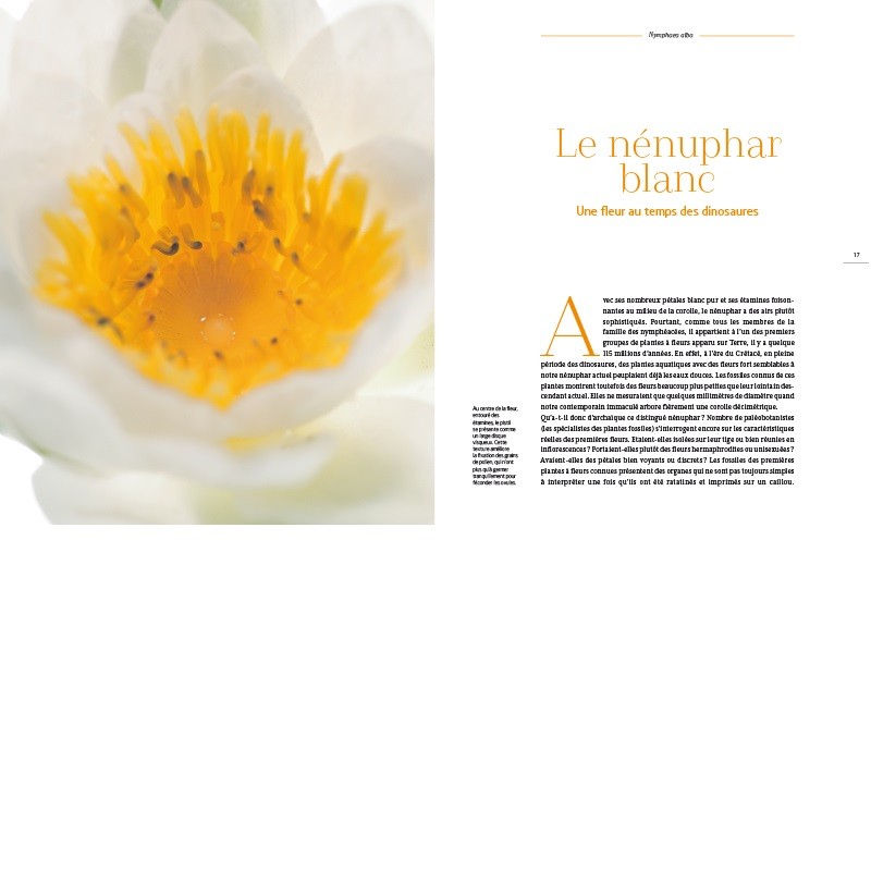 Les fleurs amoureuses - Ou comment se reproduire en couleurs Les fleurs amoureuses - Ou comment se reproduire en couleurs
