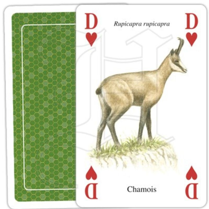 Jeu de cartes - Animaux de la nature