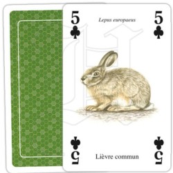Jeu de cartes - Animaux de la nature