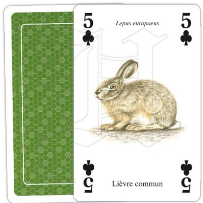 Jeu de cartes - Animaux de la nature