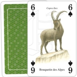 Jeu de cartes - Animaux de la nature