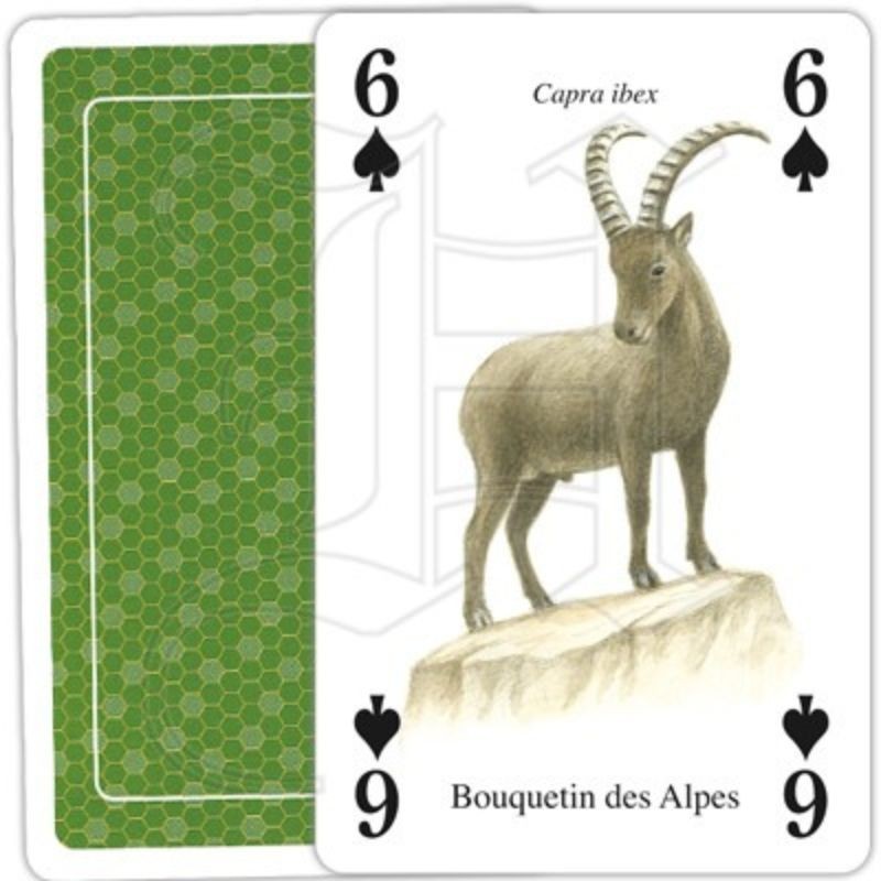 Jeu de cartes - Animaux de la nature