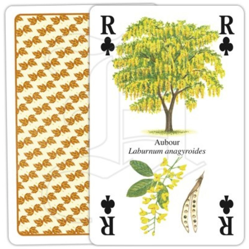 Jeu de cartes - Arbres