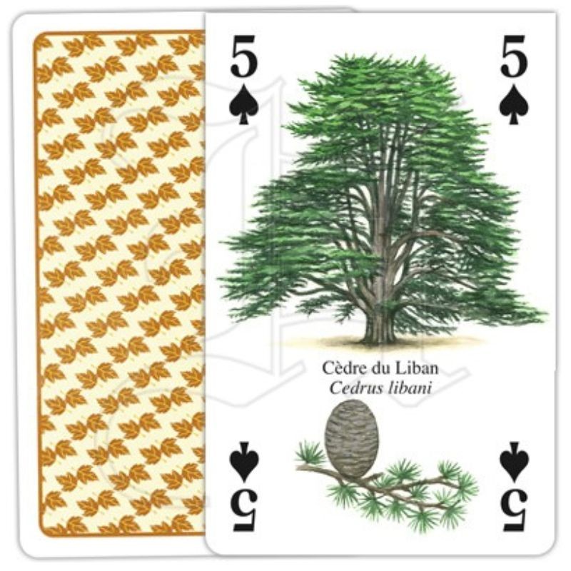Jeu de cartes - Arbres