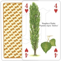 Jeu de cartes - Arbres
