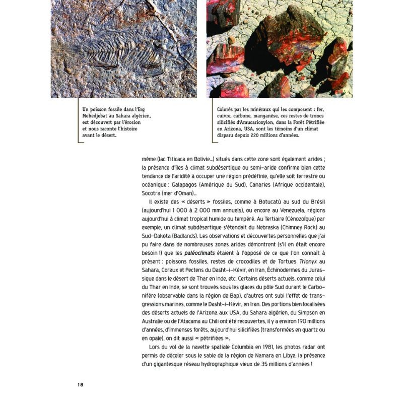 Le désert source de vies - Carnets de sciences Le désert source de vies - Carnets de sciences