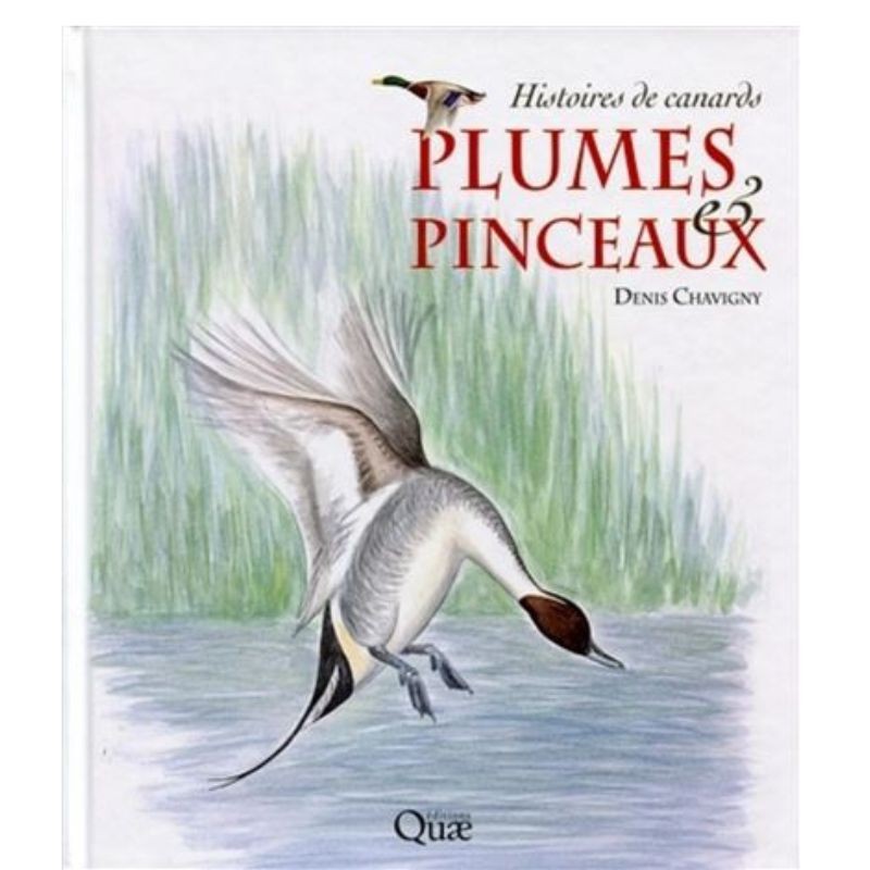 Plumes & pinceaux - Histoires de canards