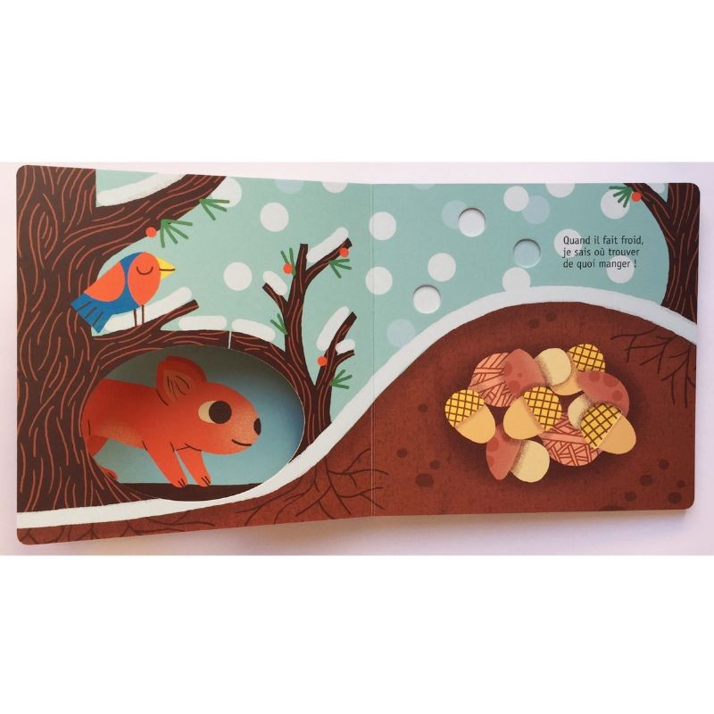 L’écureuil - Ma petite nature L’écureuil - Ma petite nature