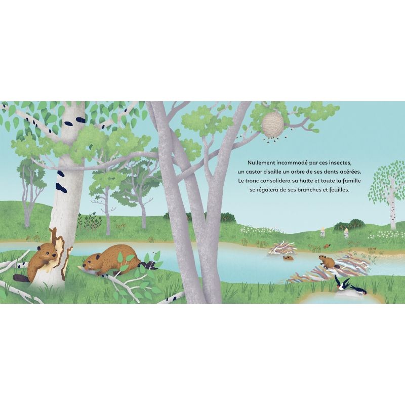 Les P'tits Bâtisseurs