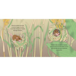 Les P'tits Bâtisseurs