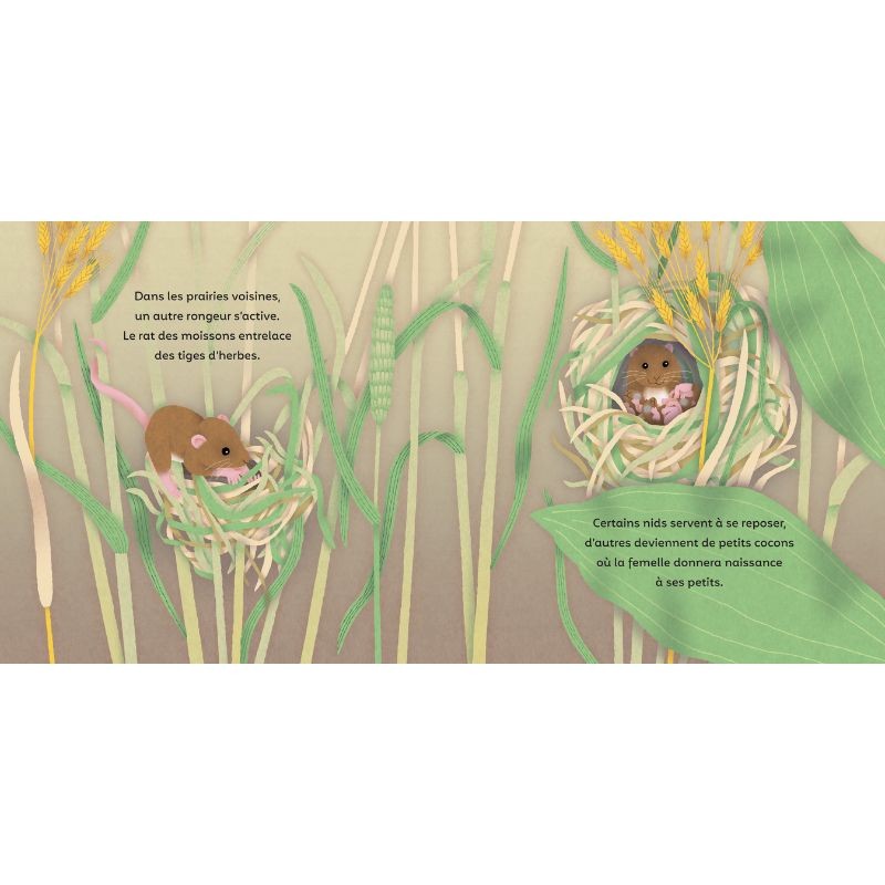 Les P'tits Bâtisseurs