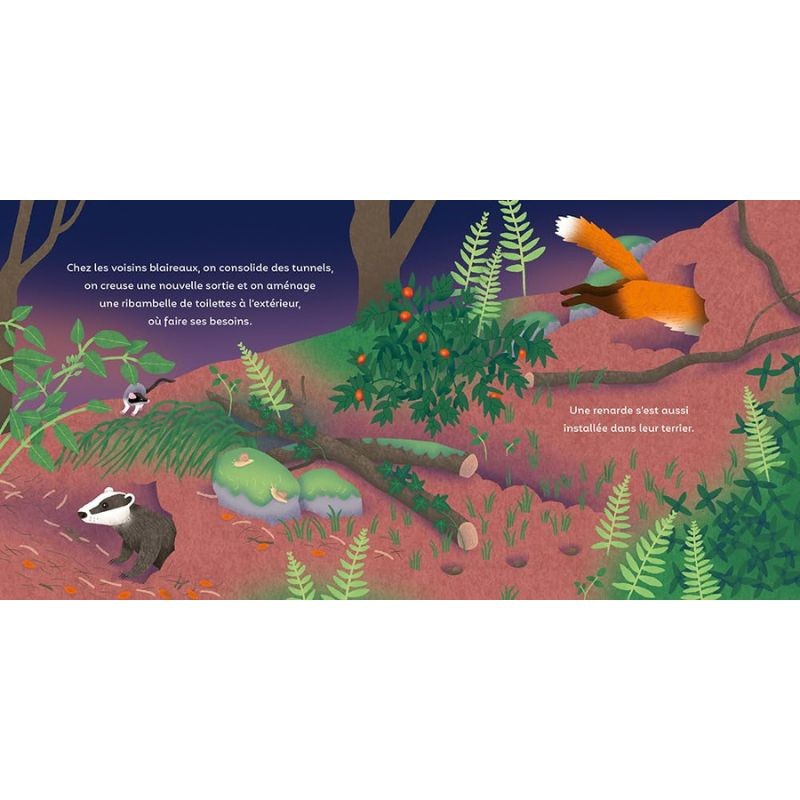 Les P'tits Bâtisseurs