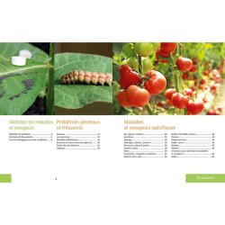 Soigner bio tous les légumes - Reconnaître et maîtriser les maladies et ravageurs - Anti-gaspi Soigner bio tous les légumes - Reconnaître et maîtriser les maladies et ravageurs - Anti-gaspi