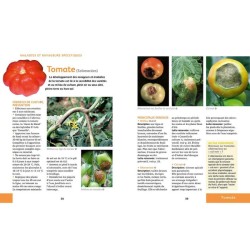 Soigner bio tous les légumes - Reconnaître et maîtriser les maladies et ravageurs - Anti-gaspi Soigner bio tous les légumes - Reconnaître et maîtriser les maladies et ravageurs - Anti-gaspi