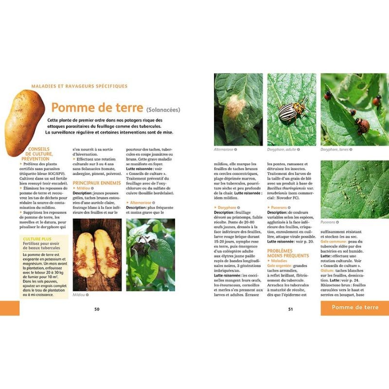 Soigner bio tous les légumes - Reconnaître et maîtriser les maladies et ravageurs - Anti-gaspi Soigner bio tous les légumes - Reconnaître et maîtriser les maladies et ravageurs - Anti-gaspi