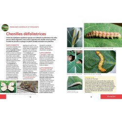 Soigner bio tous les légumes - Reconnaître et maîtriser les maladies et ravageurs - Anti-gaspi Soigner bio tous les légumes - Reconnaître et maîtriser les maladies et ravageurs - Anti-gaspi