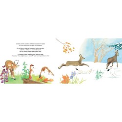 Adieu vieilles peaux ! Les mues des animaux