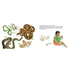 Adieu vieilles peaux ! Les mues des animaux