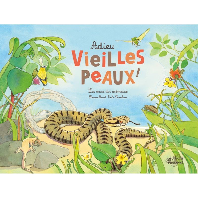 Adieu vieilles peaux ! Les mues des animaux